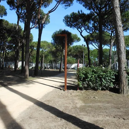 Campingplatz Albatross Mobile Homes On Camping Waikiki *